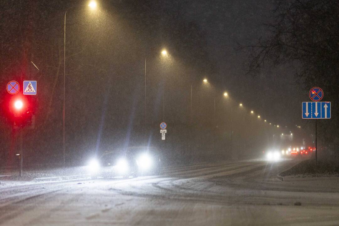 Pūga Vilniuje