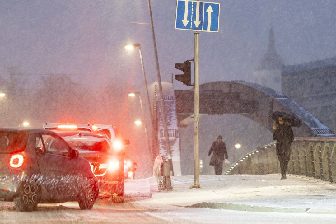 Pūga Vilniuje