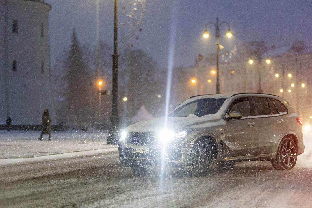 Pūga Vilniuje