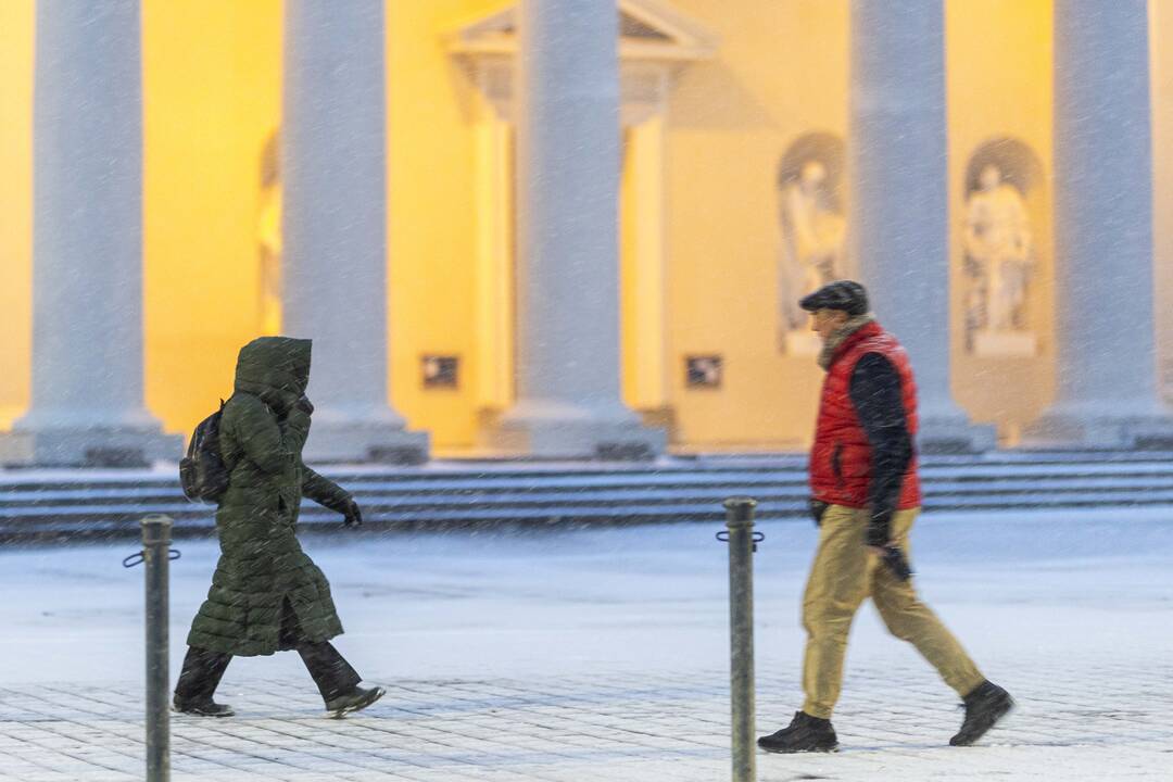 Pūga Vilniuje