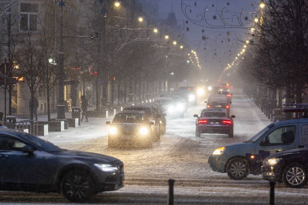 Pūga Vilniuje