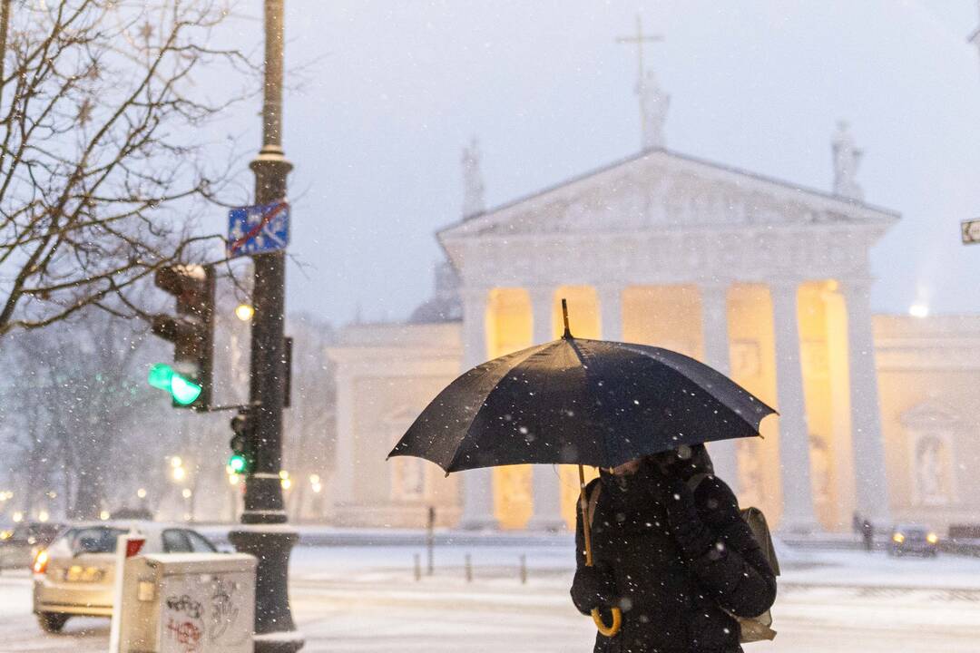 Pūga Vilniuje