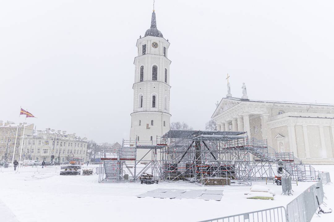 Katedros aikštėje pradėta statyti kalėdinė eglė