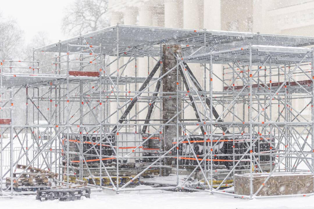 Katedros aikštėje pradėta statyti kalėdinė eglė