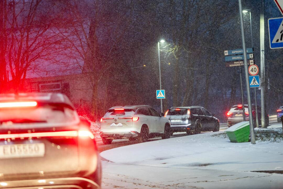 Pūga Vilniuje