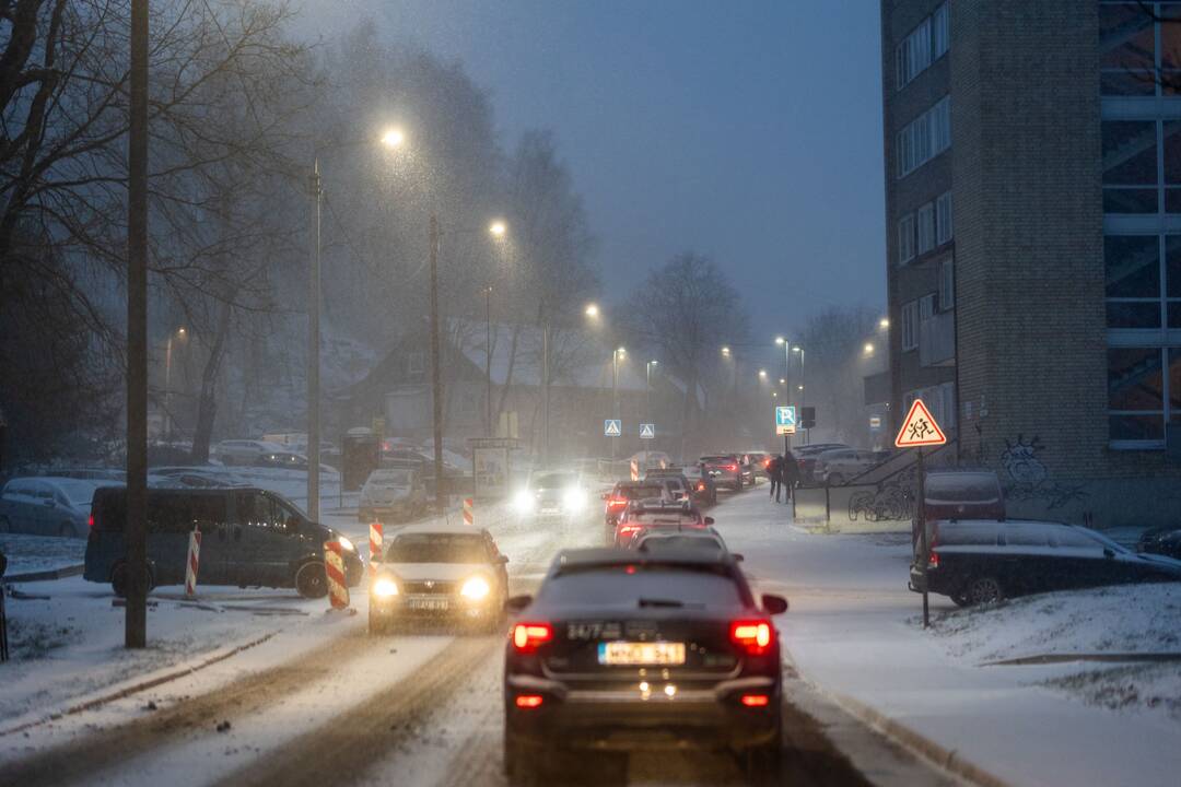 Pūga Vilniuje