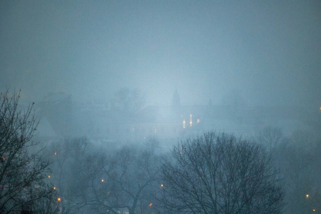 Pūga Vilniuje