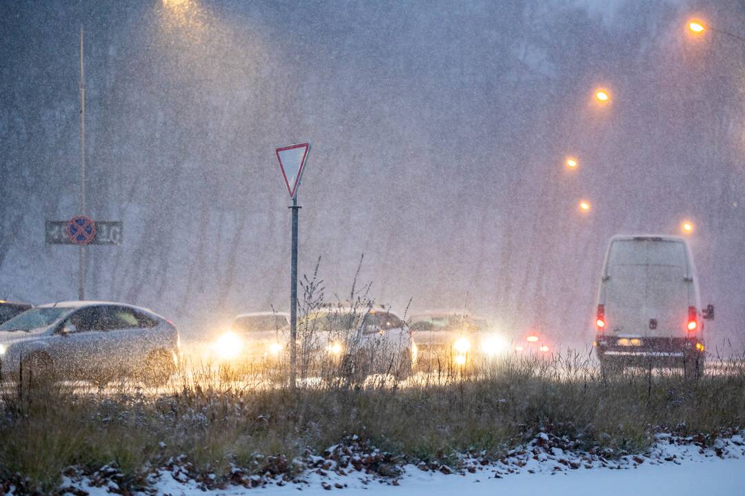 Pūga Vilniuje