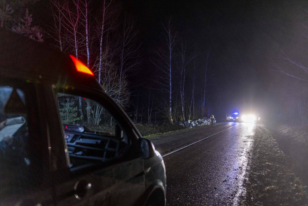 Trakų rajone į medį rėžėsi nuo policijos sprukęs BMW