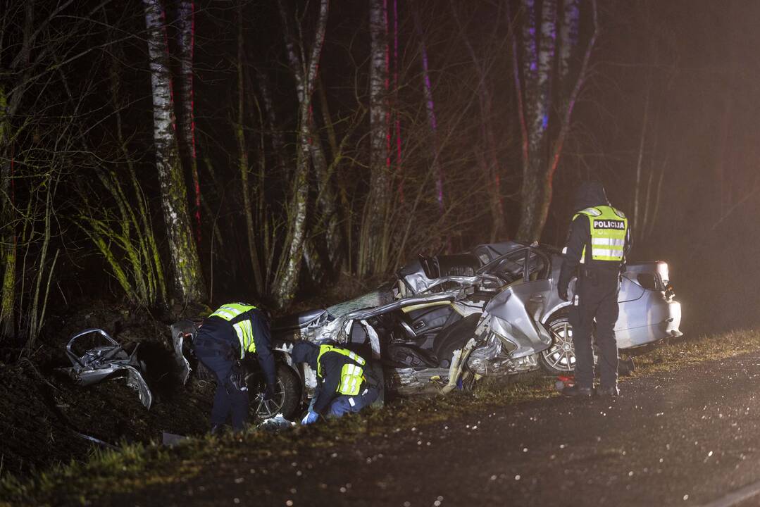 Trakų rajone į medį rėžėsi nuo policijos sprukęs BMW