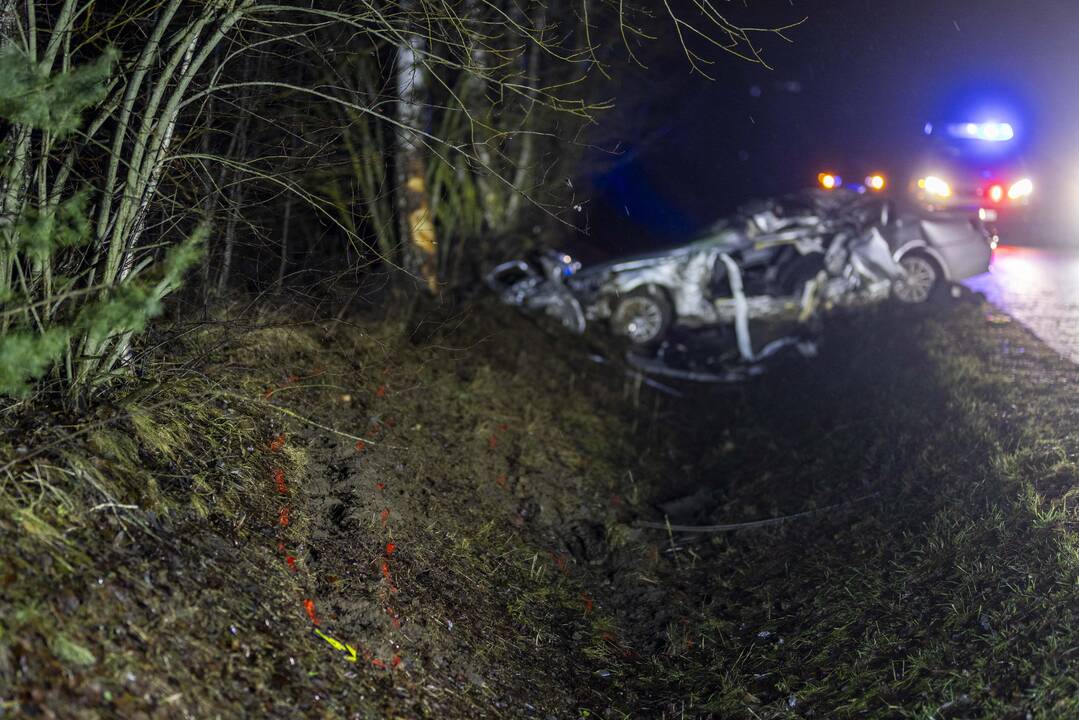 Trakų rajone į medį rėžėsi nuo policijos sprukęs BMW