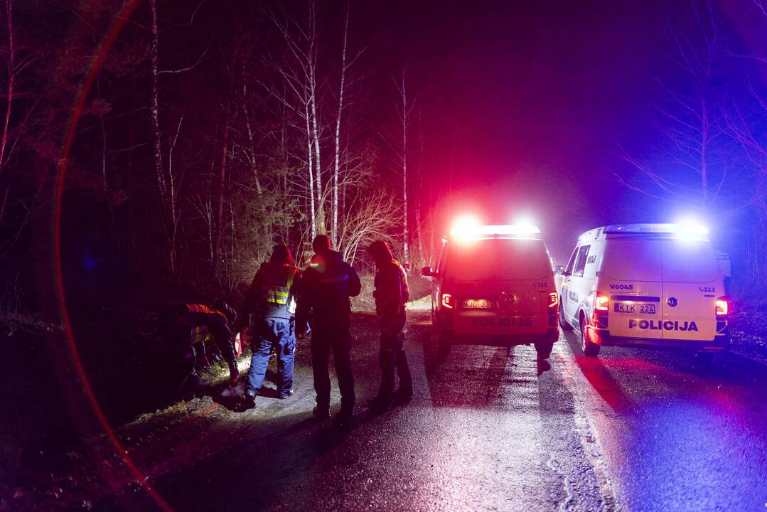 Trakų rajone į medį rėžėsi nuo policijos sprukęs BMW