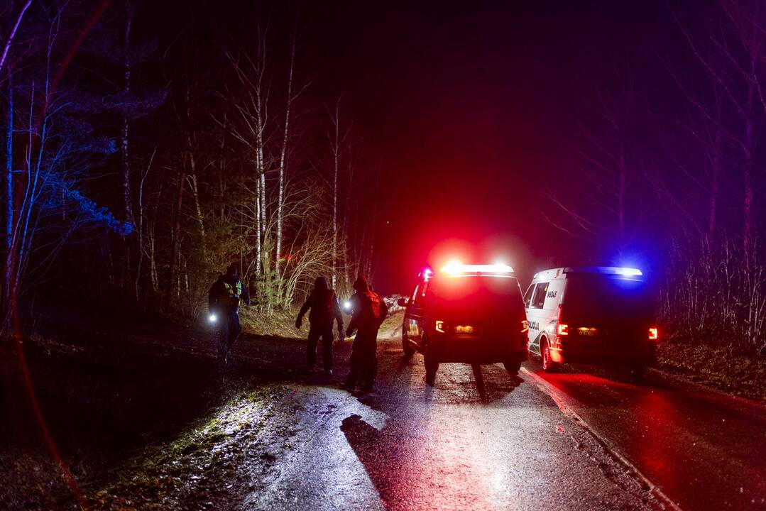Trakų rajone į medį rėžėsi nuo policijos sprukęs BMW