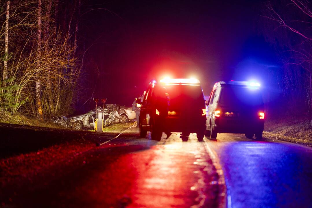 Trakų rajone į medį rėžėsi nuo policijos sprukęs BMW