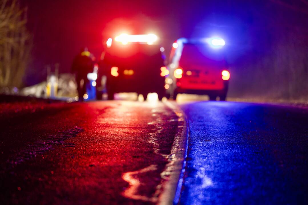 Trakų rajone į medį rėžėsi nuo policijos sprukęs BMW