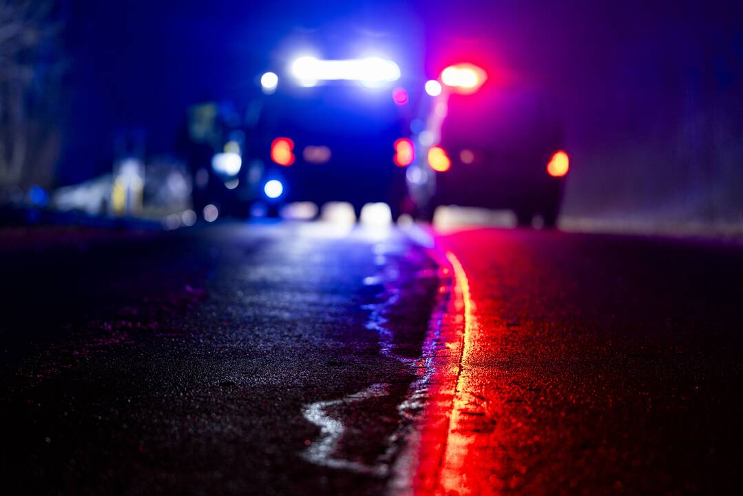 Trakų rajone į medį rėžėsi nuo policijos sprukęs BMW