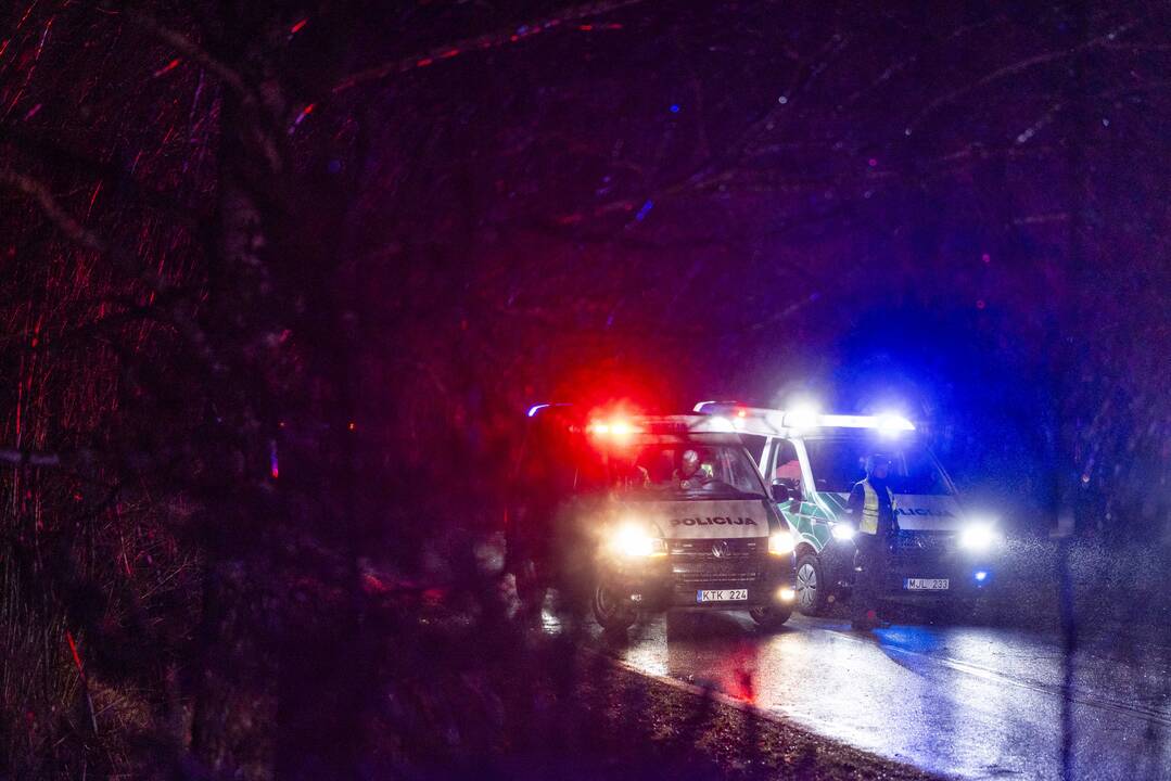 Trakų rajone į medį rėžėsi nuo policijos sprukęs BMW