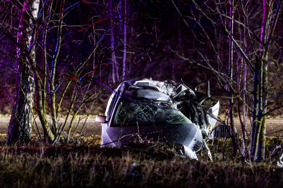 Trakų rajone į medį rėžėsi nuo policijos sprukęs BMW