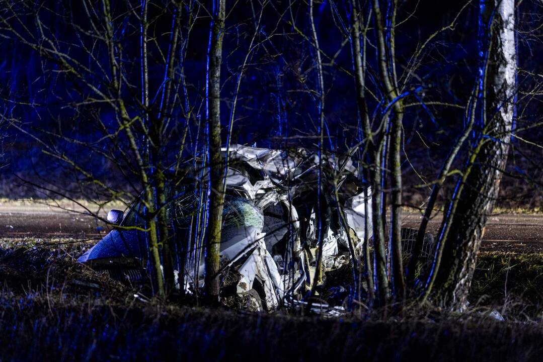 Trakų rajone į medį rėžėsi nuo policijos sprukęs BMW