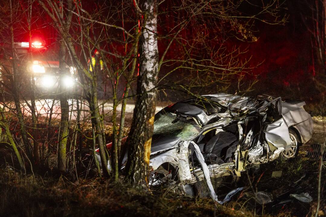 Trakų rajone į medį rėžėsi nuo policijos sprukęs BMW
