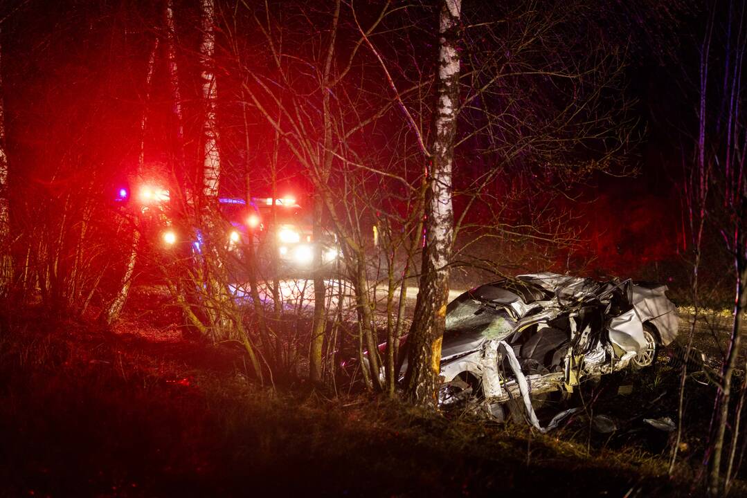 Trakų rajone į medį rėžėsi nuo policijos sprukęs BMW