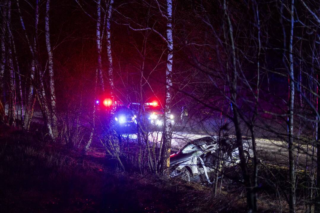 Trakų rajone į medį rėžėsi nuo policijos sprukęs BMW