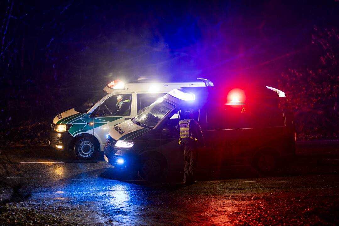 Trakų rajone į medį rėžėsi nuo policijos sprukęs BMW
