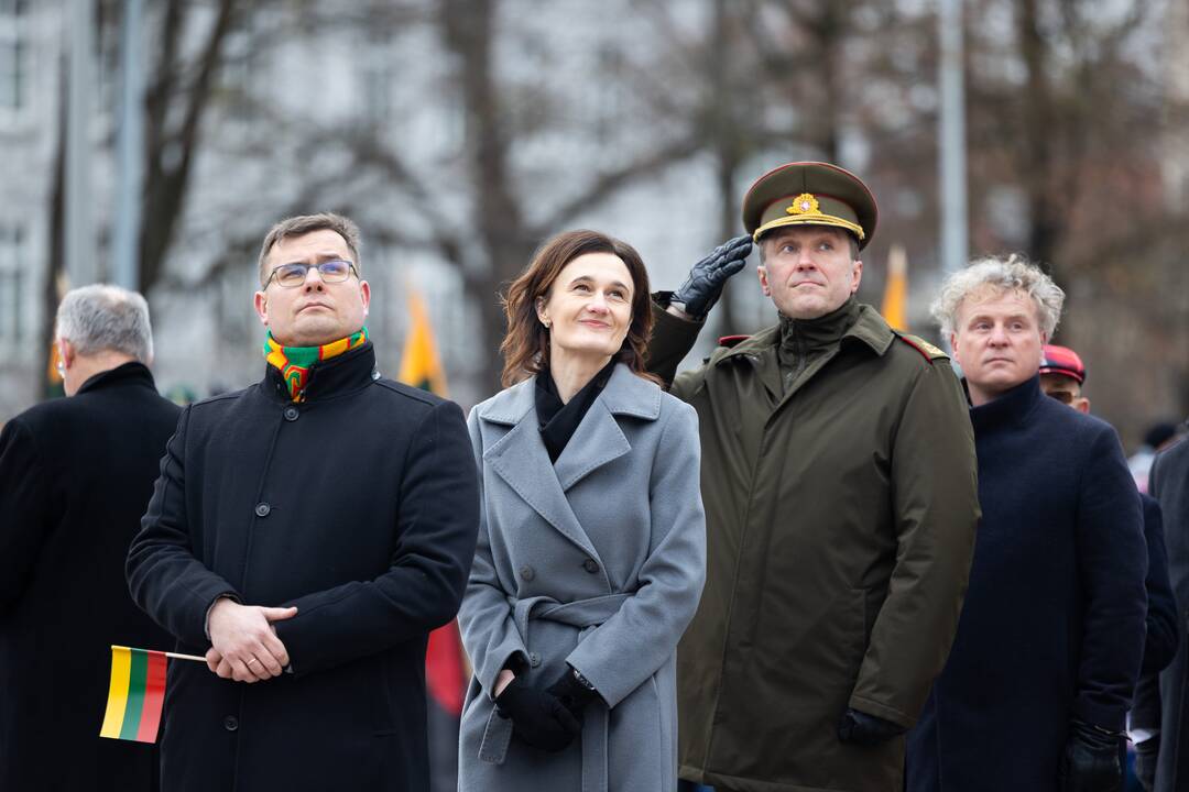 Lietuvos vėliavos diena