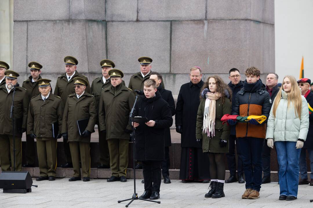 Lietuvos vėliavos diena