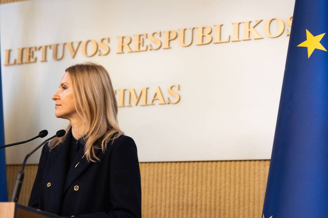 Seimo pirmininkės ir Ukrainos vicepirmininkės spaudos konferencija