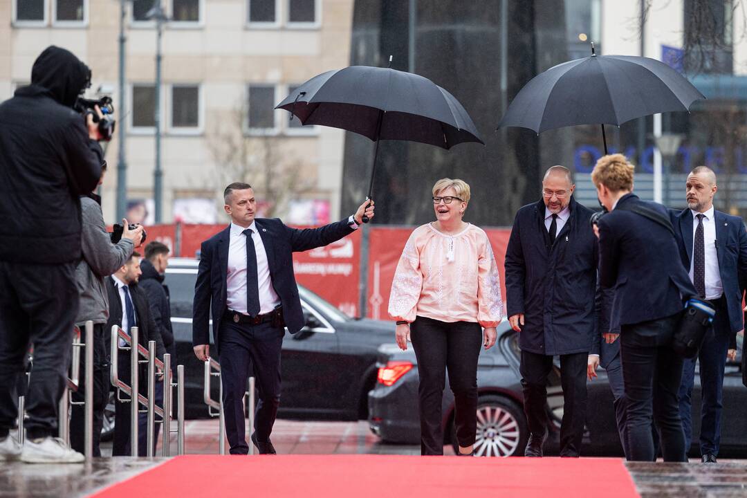 I. Šimonytė susitiko su Ukrainos premjeru D. Šmyhaliu
