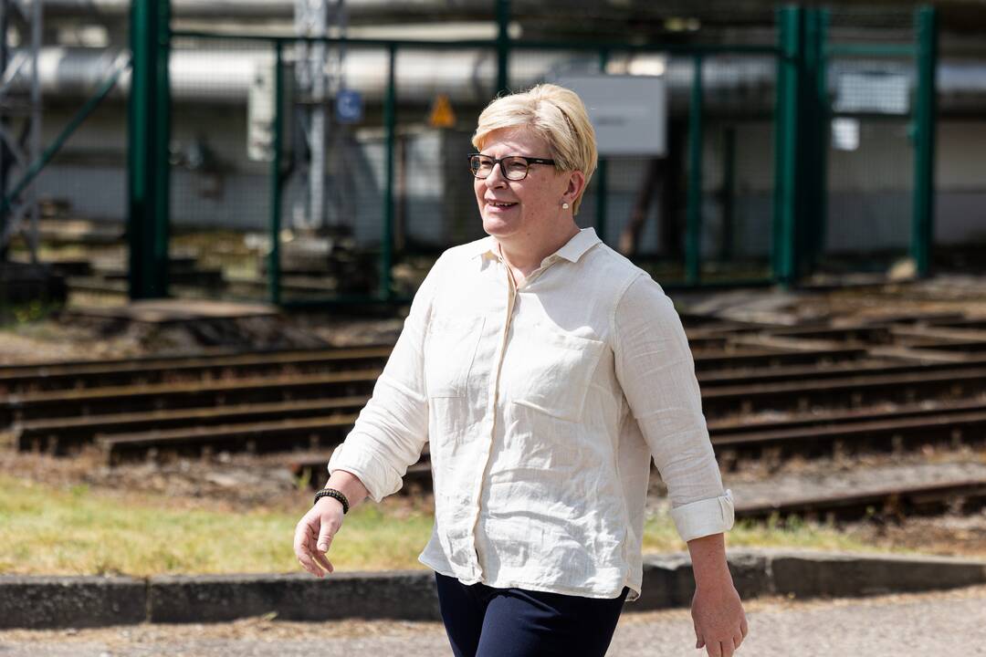 Elektrėnų elektrinės komplekse – pratybos