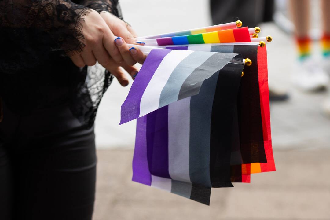 Pasiruošimas  LGBT eitynėms