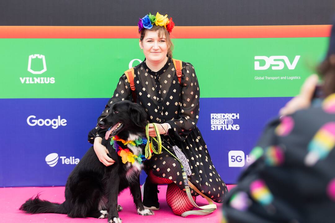 Pasiruošimas  LGBT eitynėms