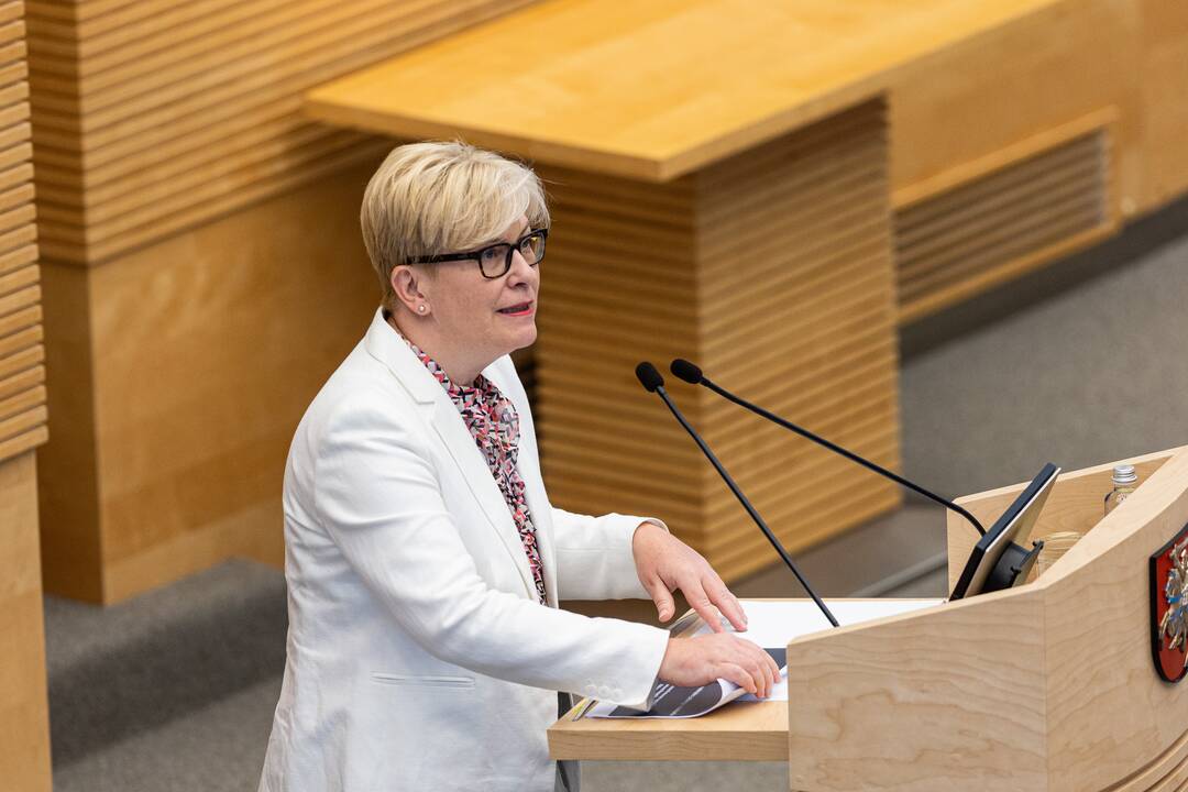 I. Šimonytė tikrinasi pasitikėjimą Seime