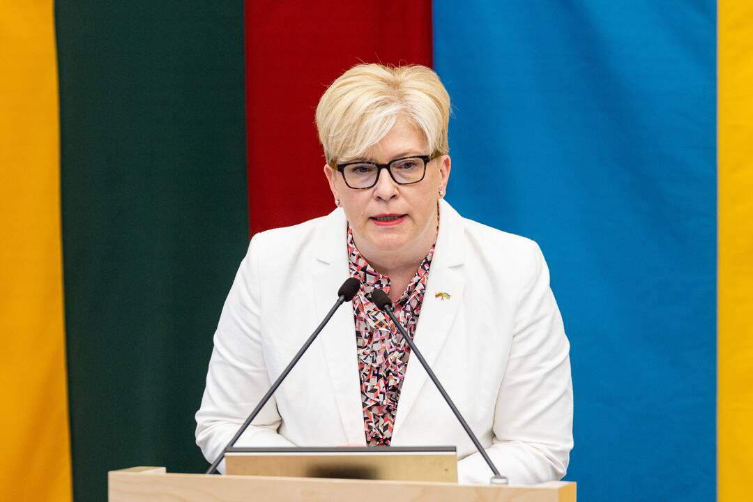 I. Šimonytė tikrinasi pasitikėjimą Seime