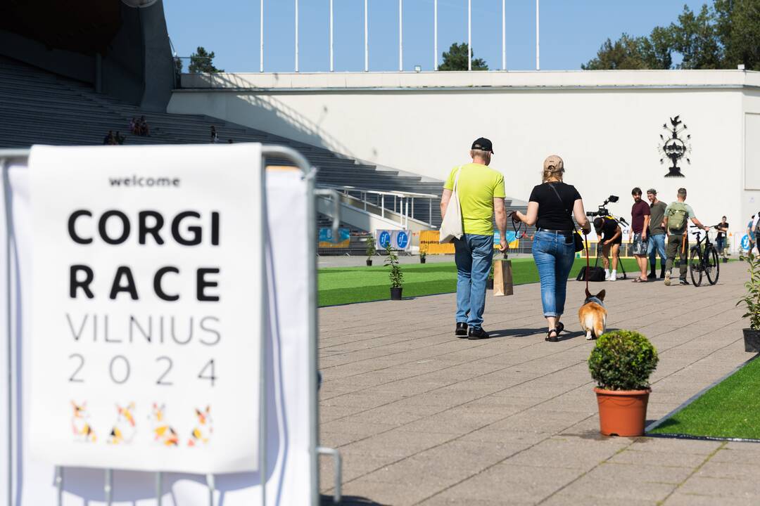 Korgių lenktynės Vingio parke