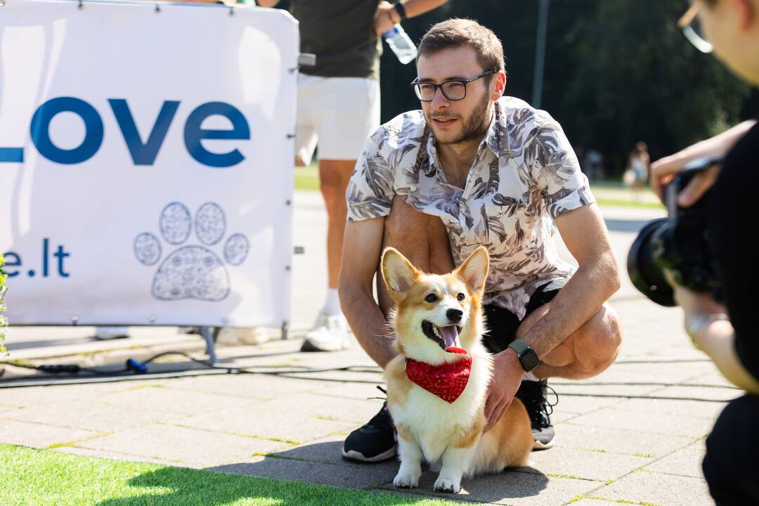 Korgių lenktynės Vingio parke