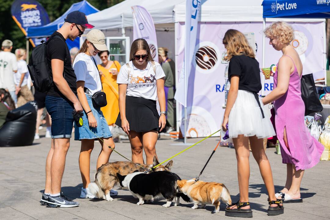 Korgių lenktynės Vingio parke