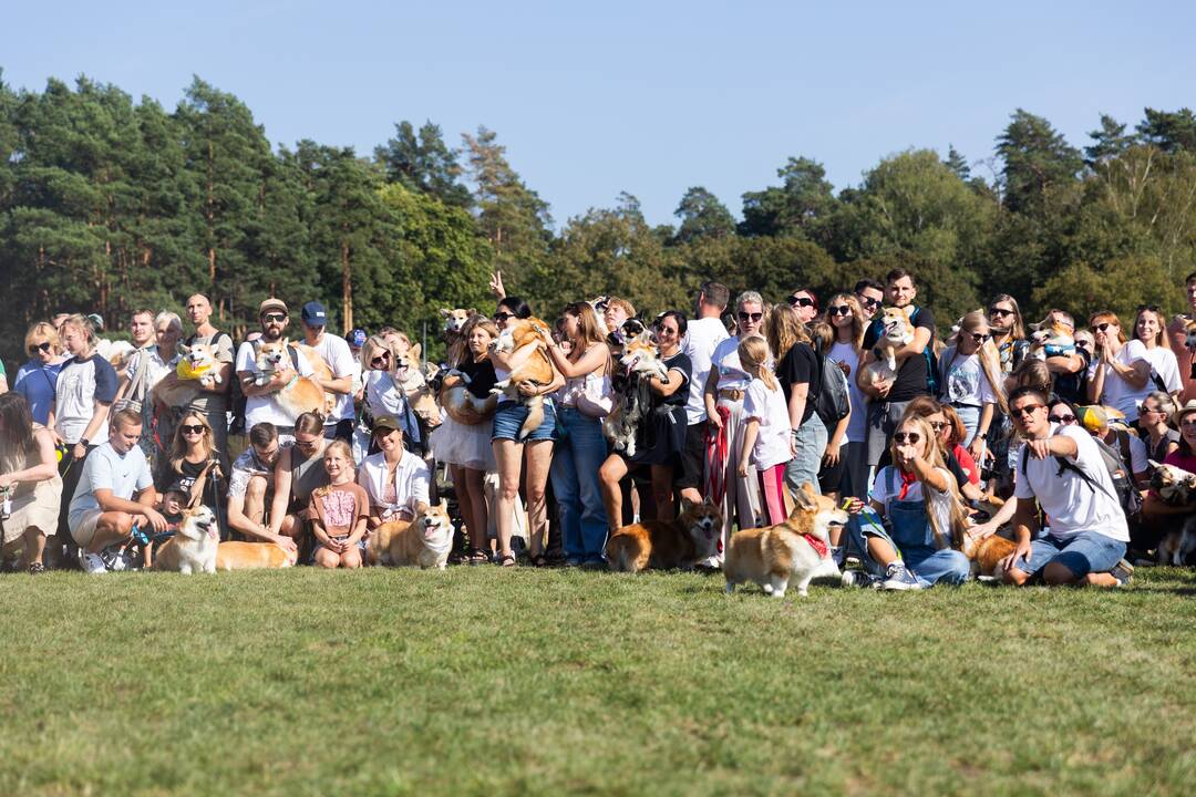 Korgių lenktynės Vingio parke