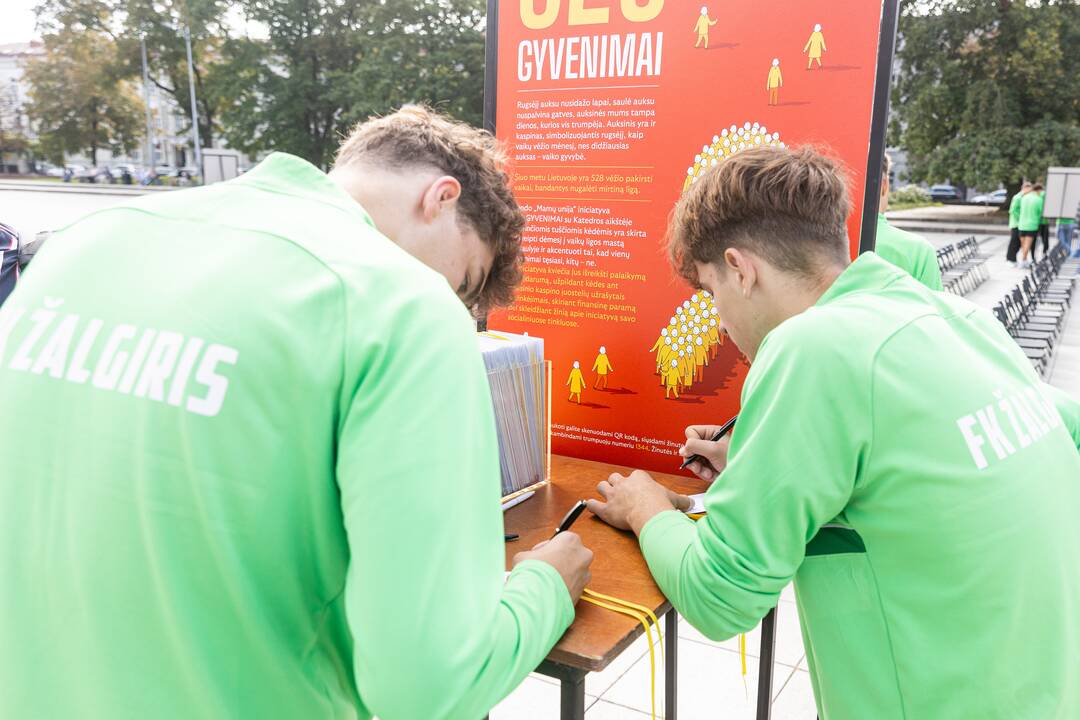 Akcija „528 Gyvenimai“ 