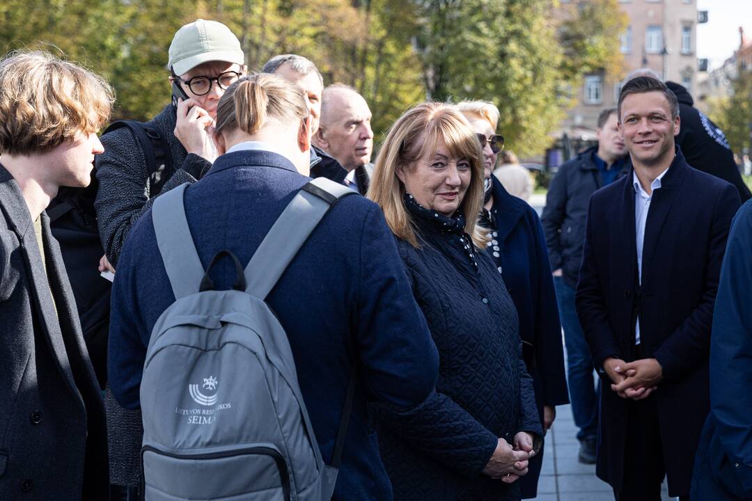 2024-ųjų Seimo rinkimai: tęsiasi išankstinis balsavimas