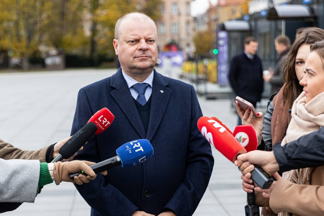 2024-ųjų Seimo rinkimai: tęsiasi išankstinis balsavimas antrajame ture