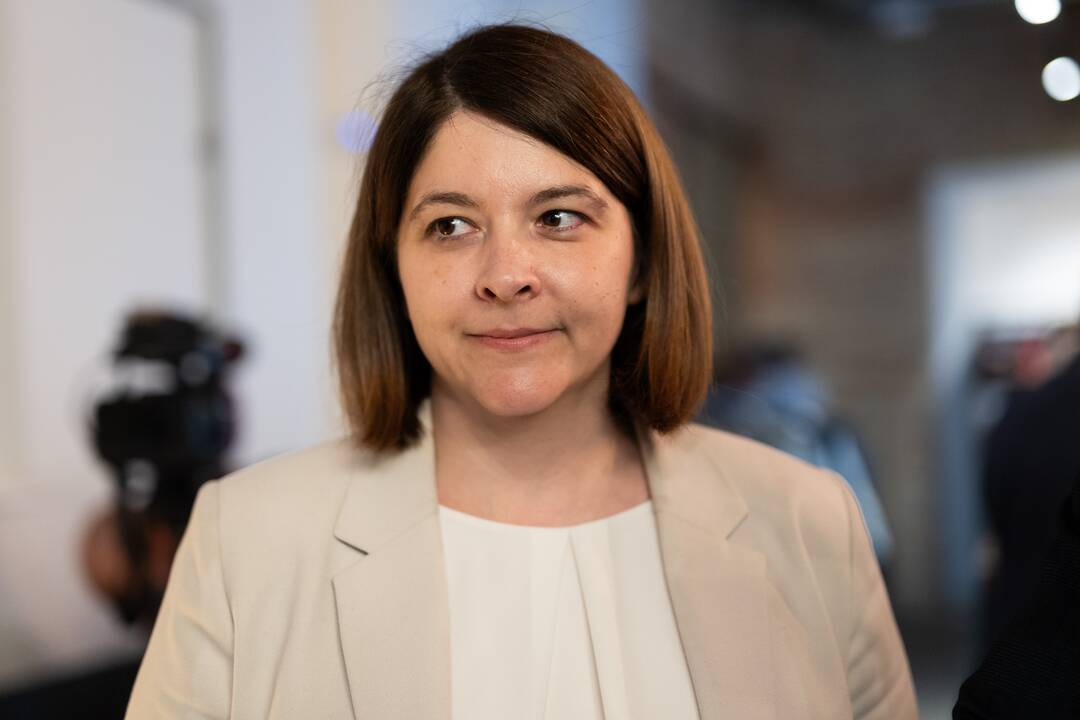 Seimo rinkimų antrasis turas: TS-LKD partijos štabas