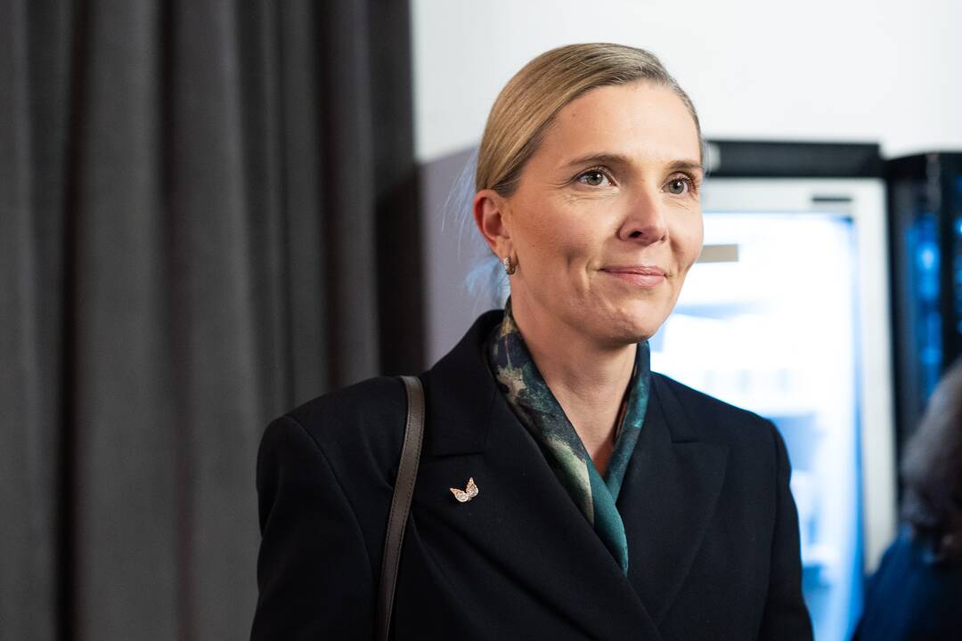 Seimo rinkimų antrasis turas: TS-LKD partijos štabas