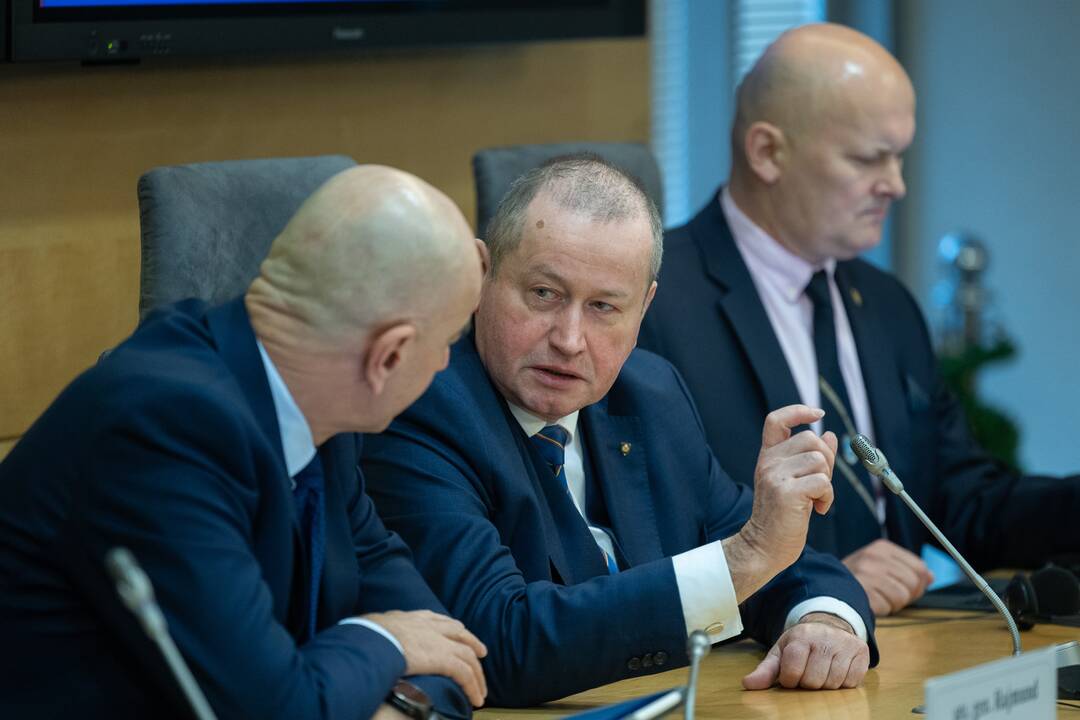 Tarptautinė konferencija „Vilniaus saugumo forumas 2025“ Seime