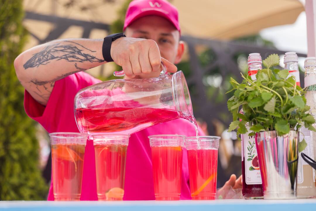 „Šaltibarščių festivalis 2025“