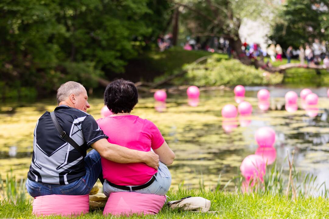 „Šaltibarščių festivalis 2025“