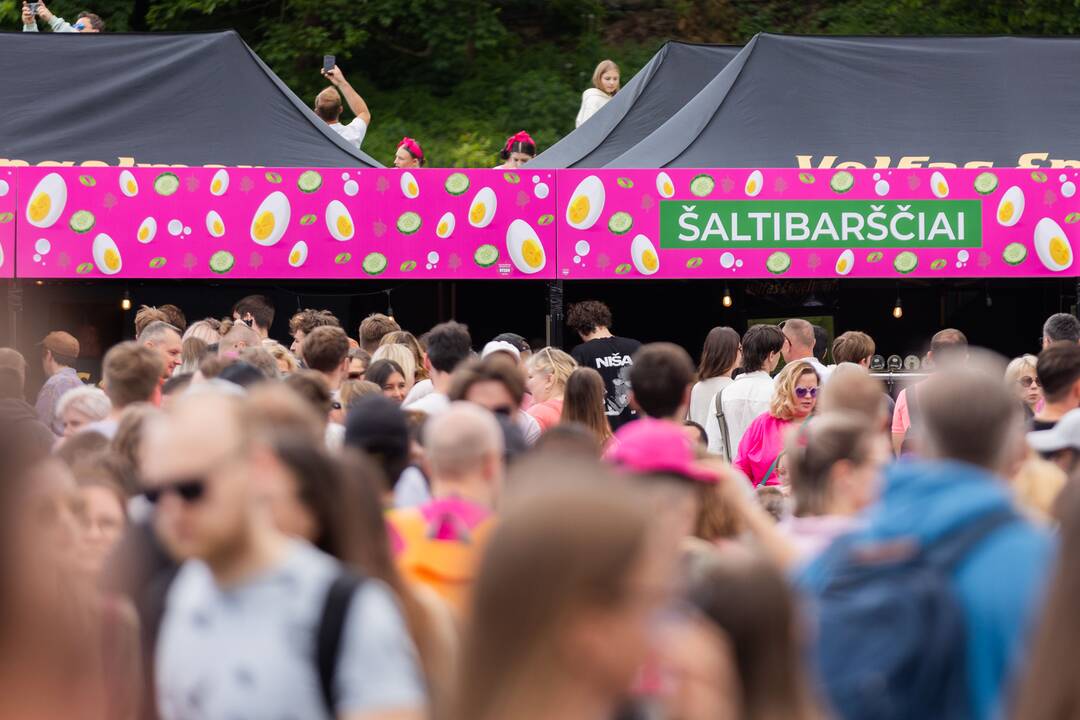 „Šaltibarščių festivalis 2025“
