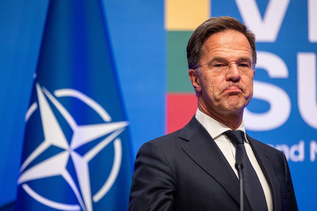 Vilniaus viršūnių susitikimo spaudos konferencija